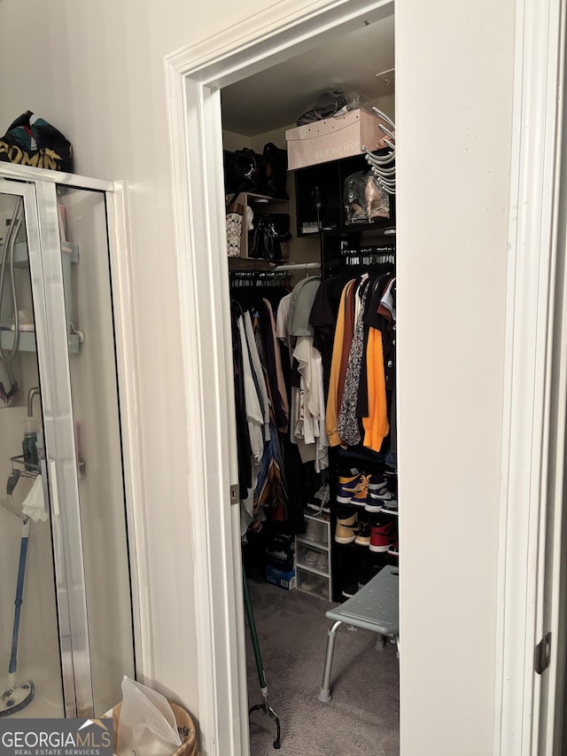 view of closet