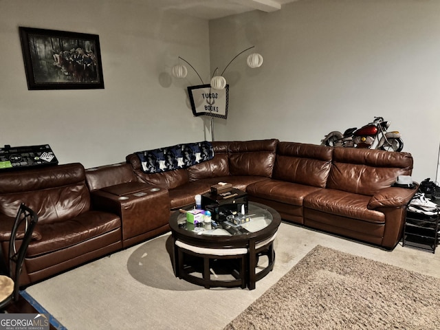 view of carpeted living room