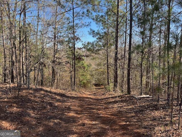 Listing photo 2 for 0 Deer Hunter Rd, Tennille GA 31089