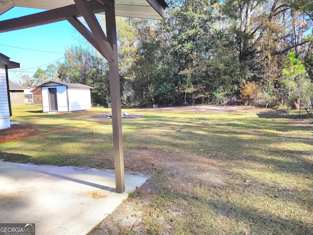 view of yard featuring a patio area and a storage shed