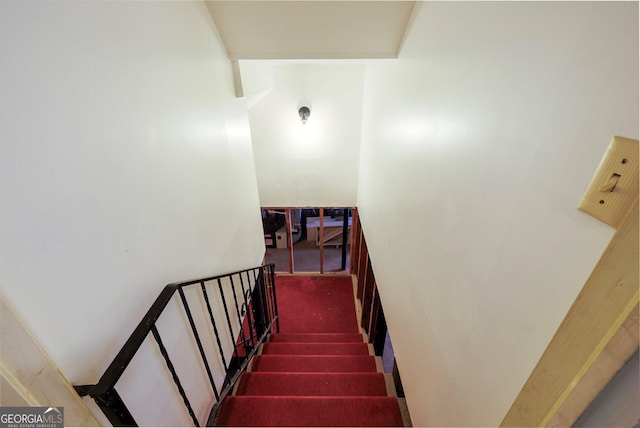 staircase featuring carpet floors