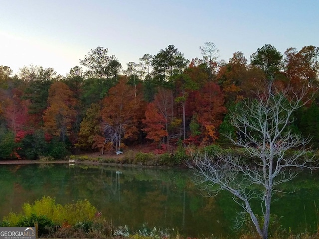 property view of water