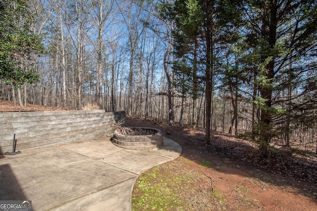 view of yard featuring a patio area