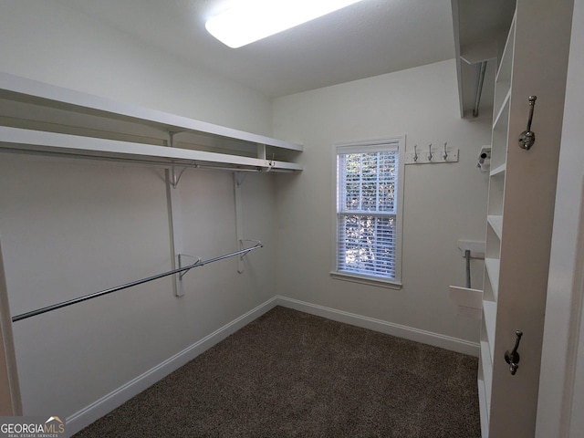 walk in closet with dark colored carpet