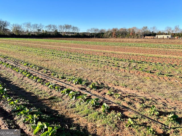 view of yard featuring a rural view