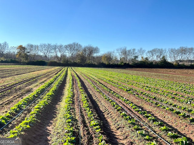 view of yard with a rural view