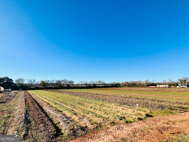 view of yard featuring a rural view