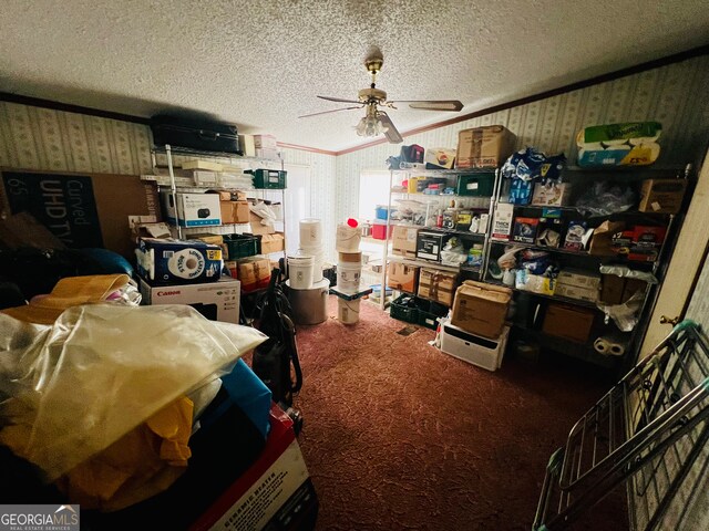 storage room featuring ceiling fan