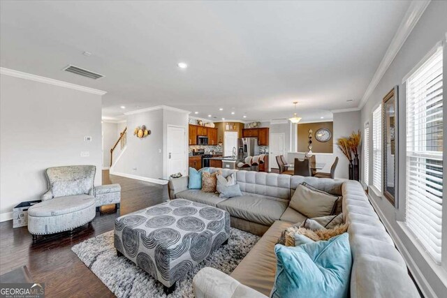 living room featuring dark wood-type flooring, crown molding, and sink