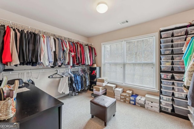 spacious closet featuring carpet floors