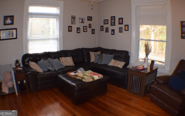 living room with ceiling fan and wood-type flooring