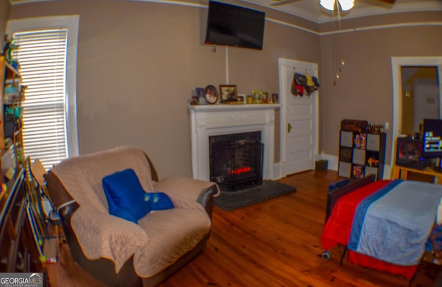 living room featuring ceiling fan, plenty of natural light, and hardwood / wood-style flooring