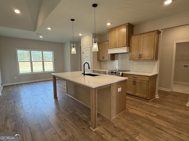 kitchen featuring a sink, tasteful backsplash, premium range hood, dark wood-style floors, and stainless steel electric range oven