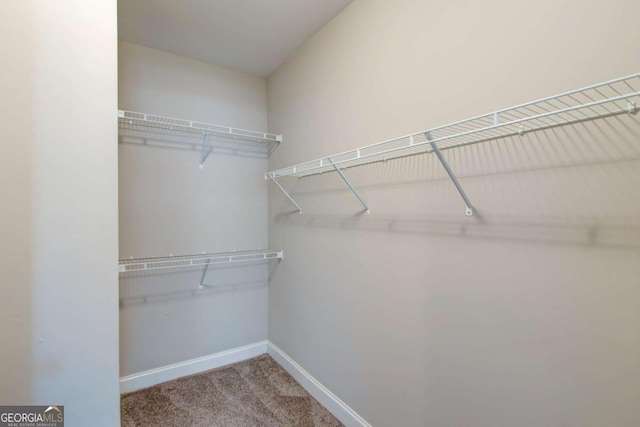3770 Shades Valley Ln, Gainesville, GA 30501 - walk in closet with carpet floors