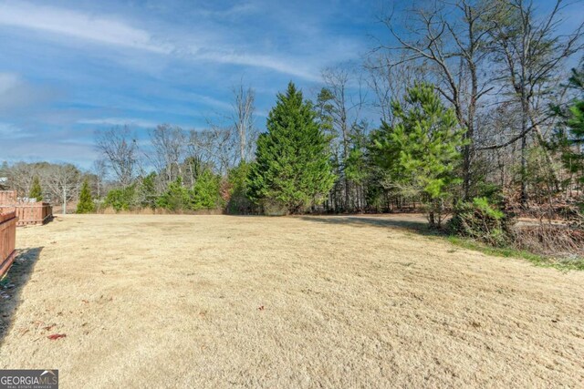 3770 Shades Valley Ln, Gainesville, GA 30501 - view of yard