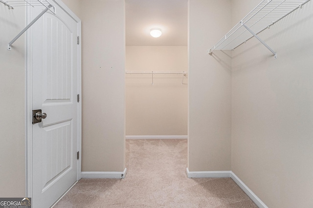 walk in closet featuring light colored carpet