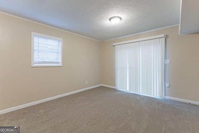 carpeted empty room with ornamental molding and a textured ceiling