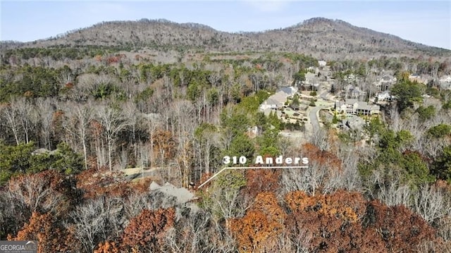 bird's eye view featuring a mountain view