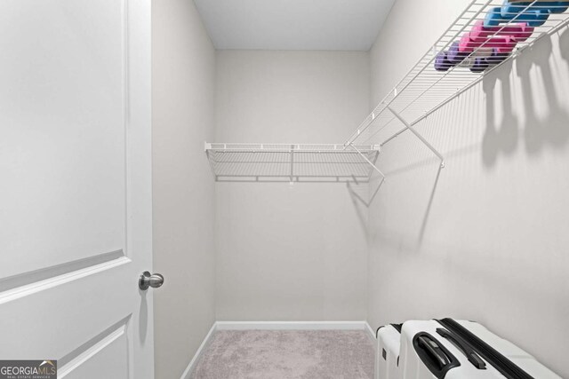 spacious closet with light carpet