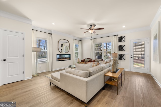 living room featuring ceiling fan, ornamental molding, and light wood-type flooring