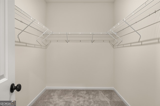 walk in closet featuring light carpet