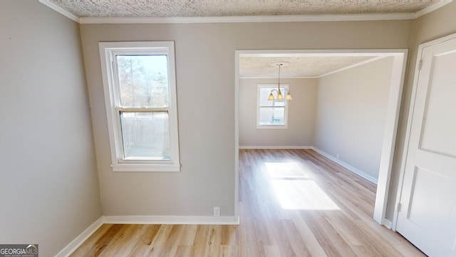 unfurnished dining area featuring crown molding, light hardwood / wood-style flooring, and a textured ceiling