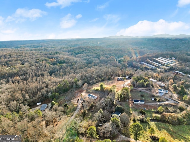 birds eye view of property featuring a mountain view