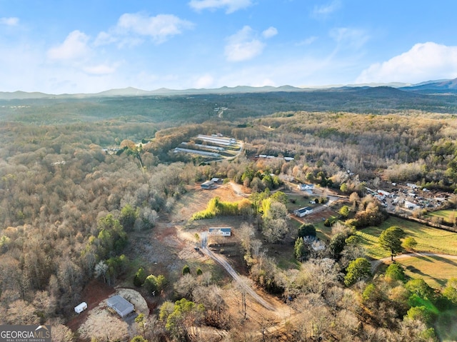 birds eye view of property featuring a mountain view