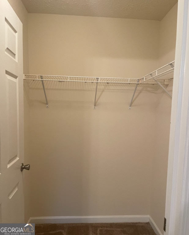 walk in closet with dark carpet