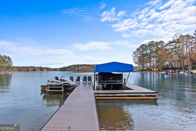 dock area with a water view