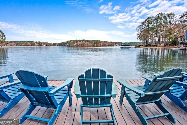 dock area with a water view