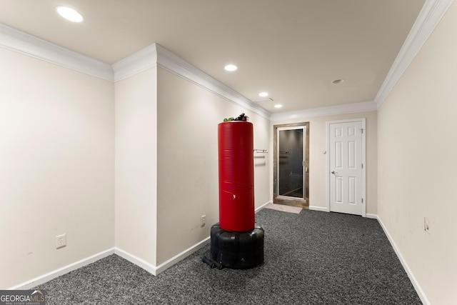 interior space featuring ornamental molding and carpet