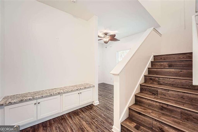 stairs featuring ceiling fan and wood-type flooring