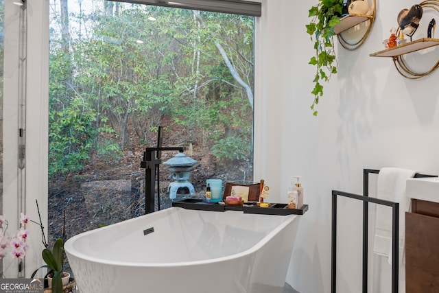 bathroom with a bathing tub