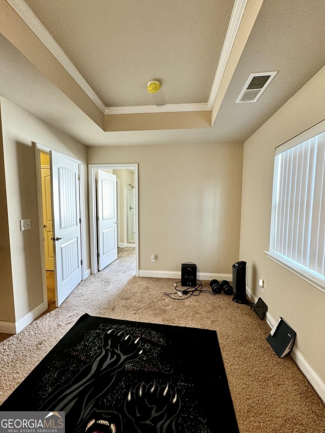 interior space with carpet flooring, a raised ceiling, and crown molding