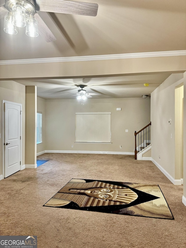 spare room featuring ceiling fan, carpet, and ornamental molding