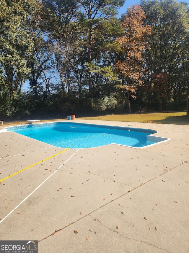 view of pool featuring a patio