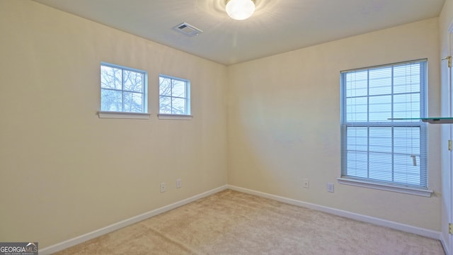 carpeted spare room with a wealth of natural light