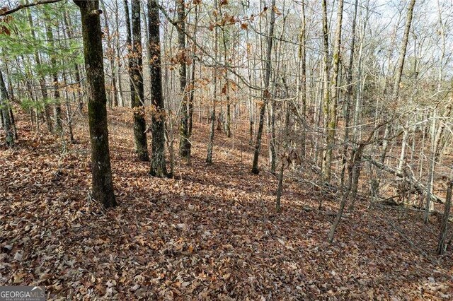 533 Marque Ln NE, Ranger, GA 30734