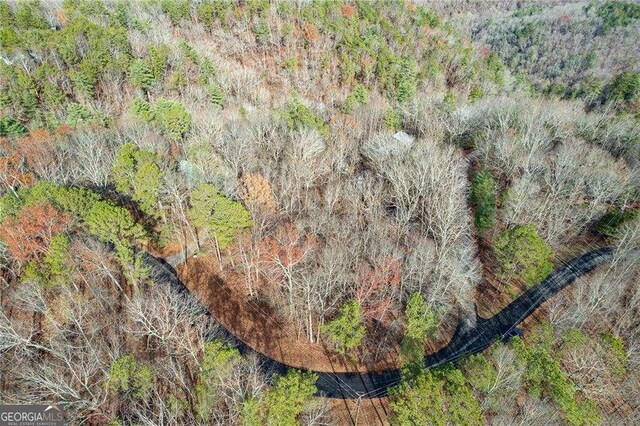 533 Marque Ln NE, Ranger, GA 30734