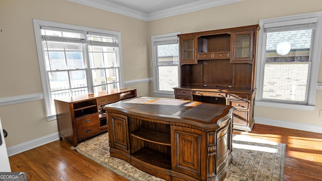 office featuring crown molding and dark hardwood / wood-style floors