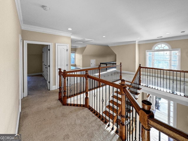 hall featuring crown molding and light carpet