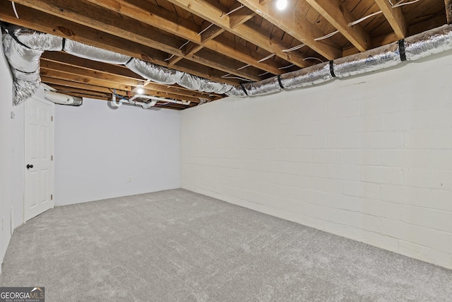 basement featuring carpet floors