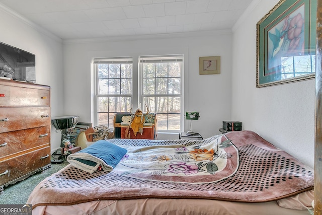 bedroom with crown molding