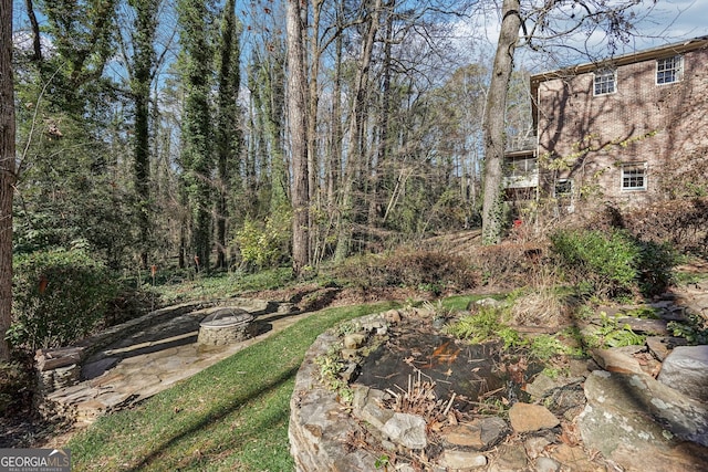 view of yard featuring an outdoor fire pit