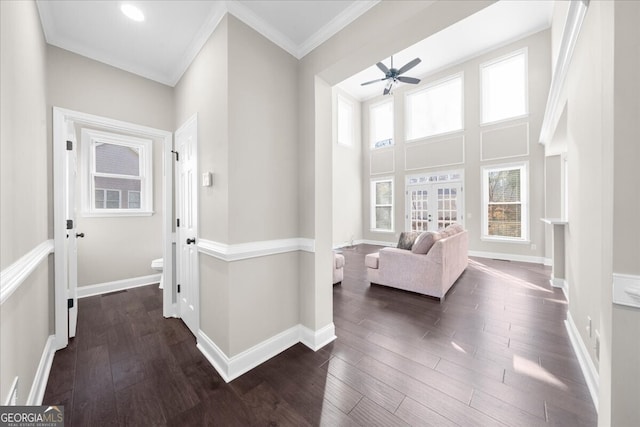 interior space with dark hardwood / wood-style flooring, plenty of natural light, a high ceiling, and ornamental molding