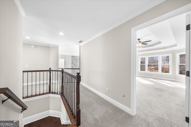 corridor with a tray ceiling, crown molding, and carpet floors