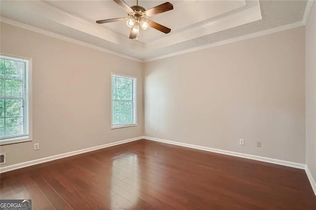 spare room with a tray ceiling, a wealth of natural light, and crown molding