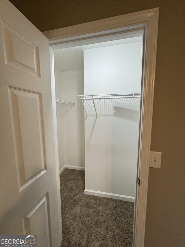 walk in closet with dark colored carpet