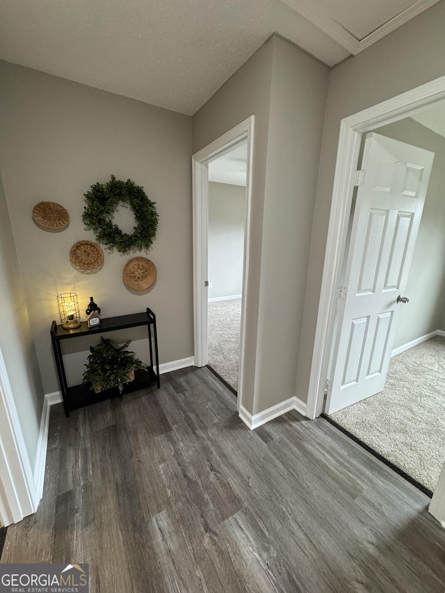 corridor with dark wood-type flooring